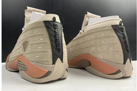 14 Jordan DC9857-200 Low Blush DC9857-200 AIR Retro Terra Clot 0323